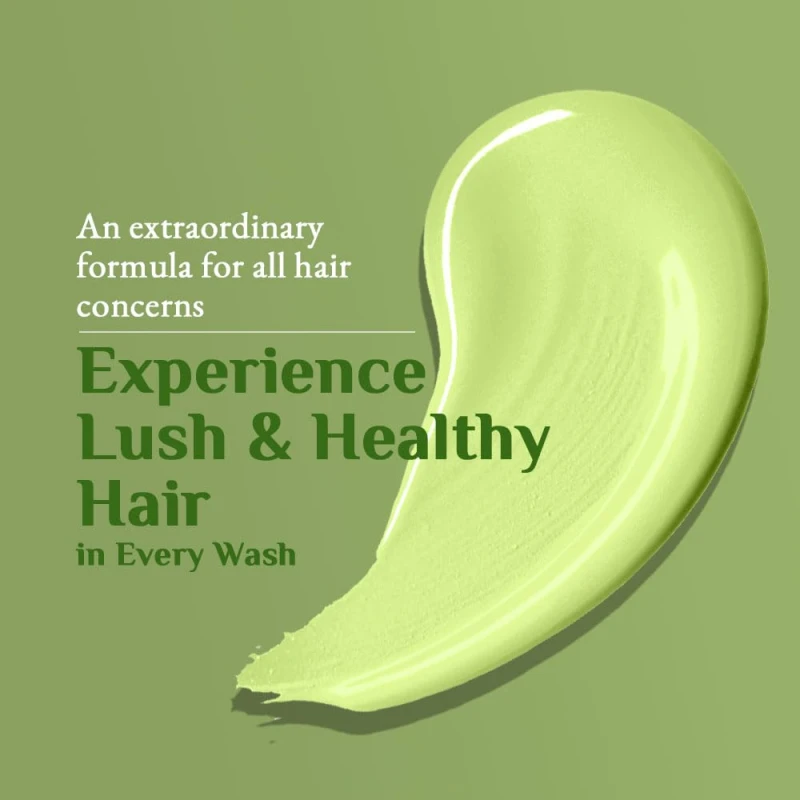 Richfeel Green Apple Shampoo For Dry &amp; Damaged Hair | Anti Dandruff | Promotes Healthy, Shiny and Glossy Hair | Nourishes Scalp | Makes Hair Soft &amp; Smooth | All Skin Types | 500 ml thumbnail 17